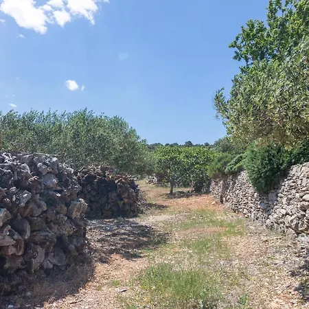 Secluded House Cove Vela Lozna, Brac - 16179 Vikendica *